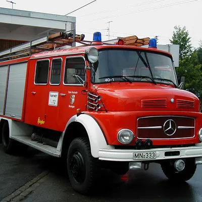 LF16.JPG